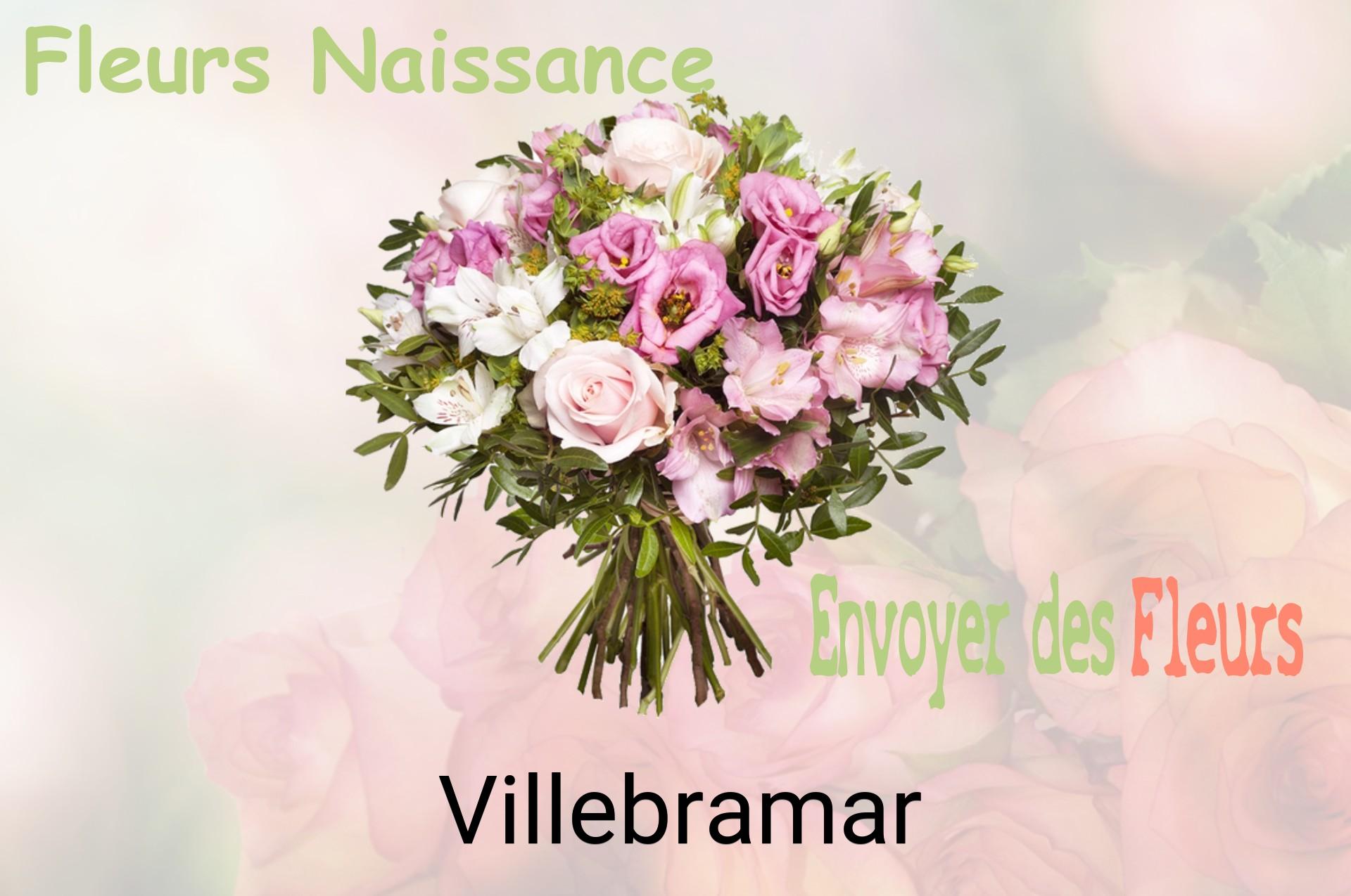 Bouquet de fleurs de naissance livré à Villebramar