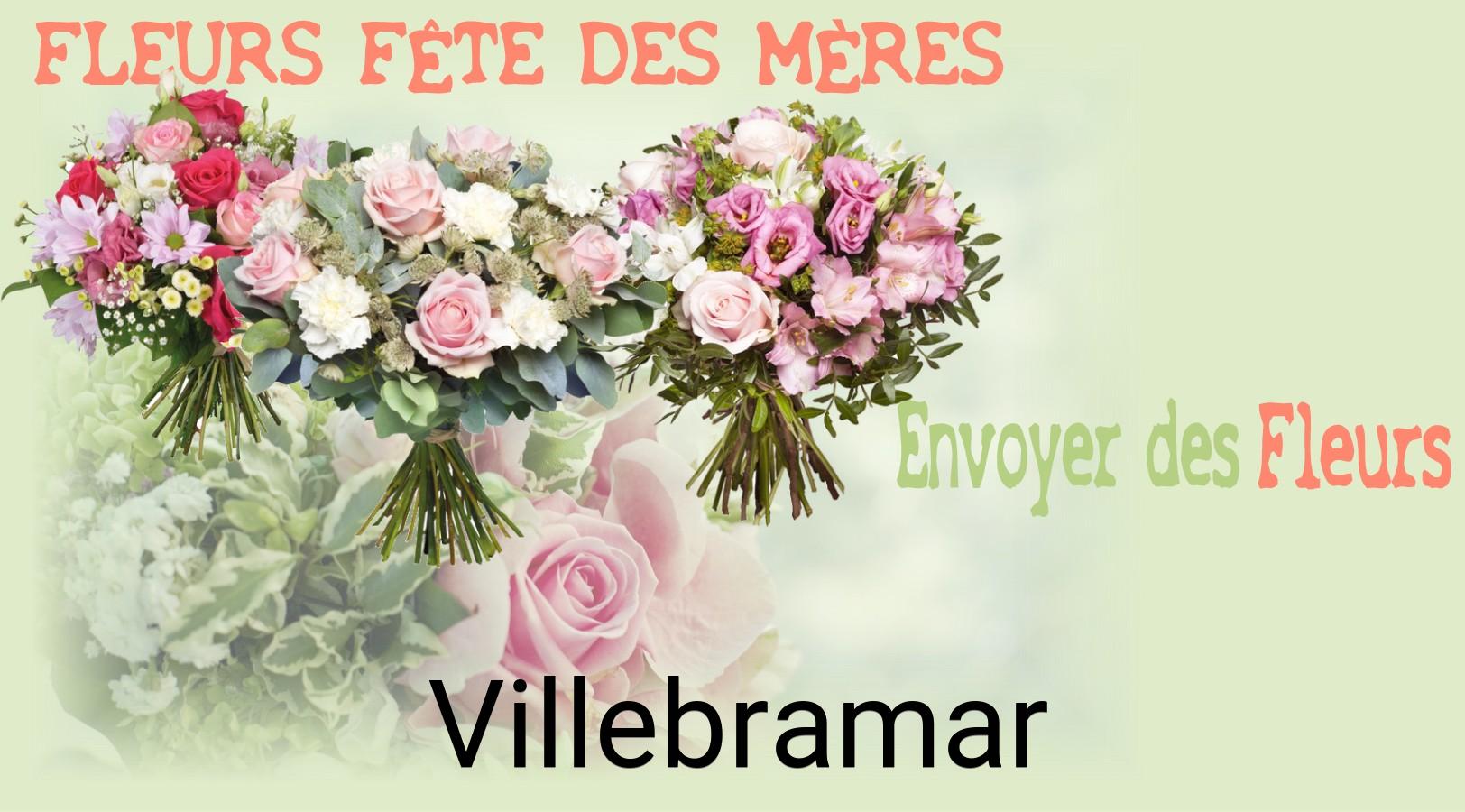 Bouquet de Fête des Mères livré à Villebramar